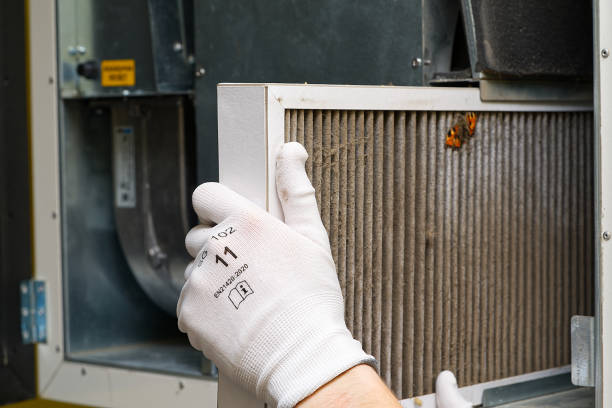 Best Air Duct Cleaning Cost  in Wofford Heights, CA